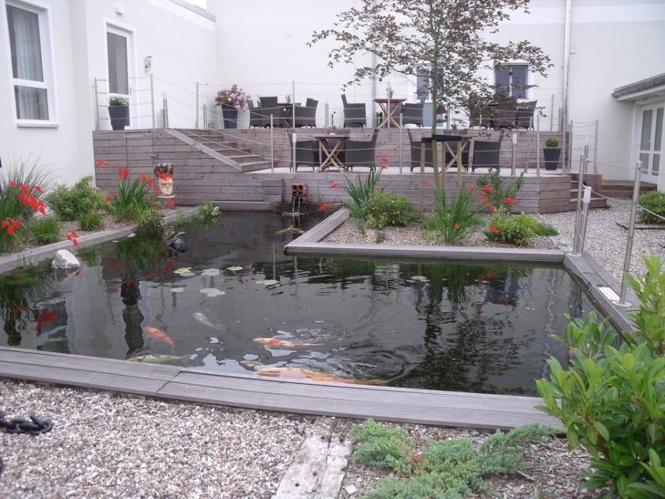 Koi-Teich im Außenbereich Hotel Kleiner Yachthafen