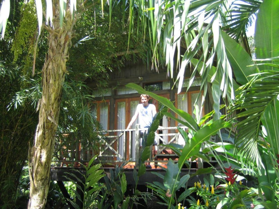 Bungalow Sunset at the Palms Negril Sunset at the Palms Resort - Adults Only