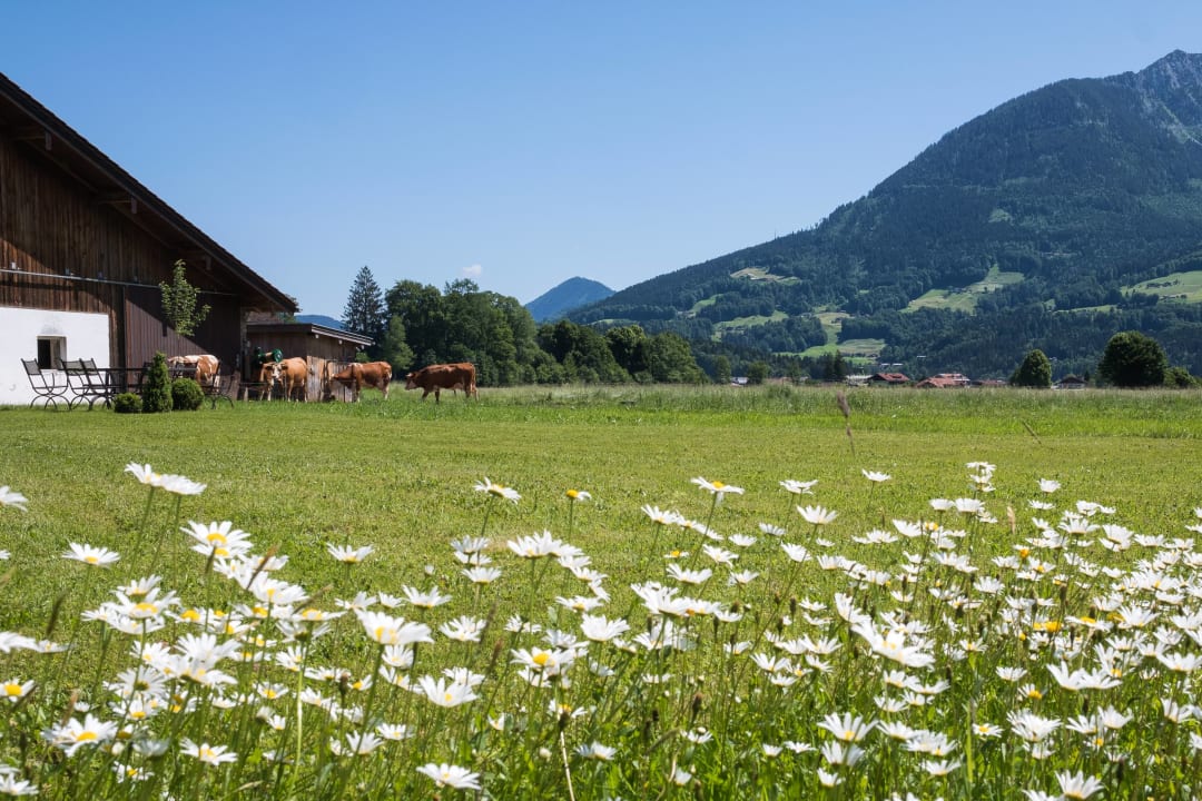 Außenansicht Ferienwohnungen Drachllehen