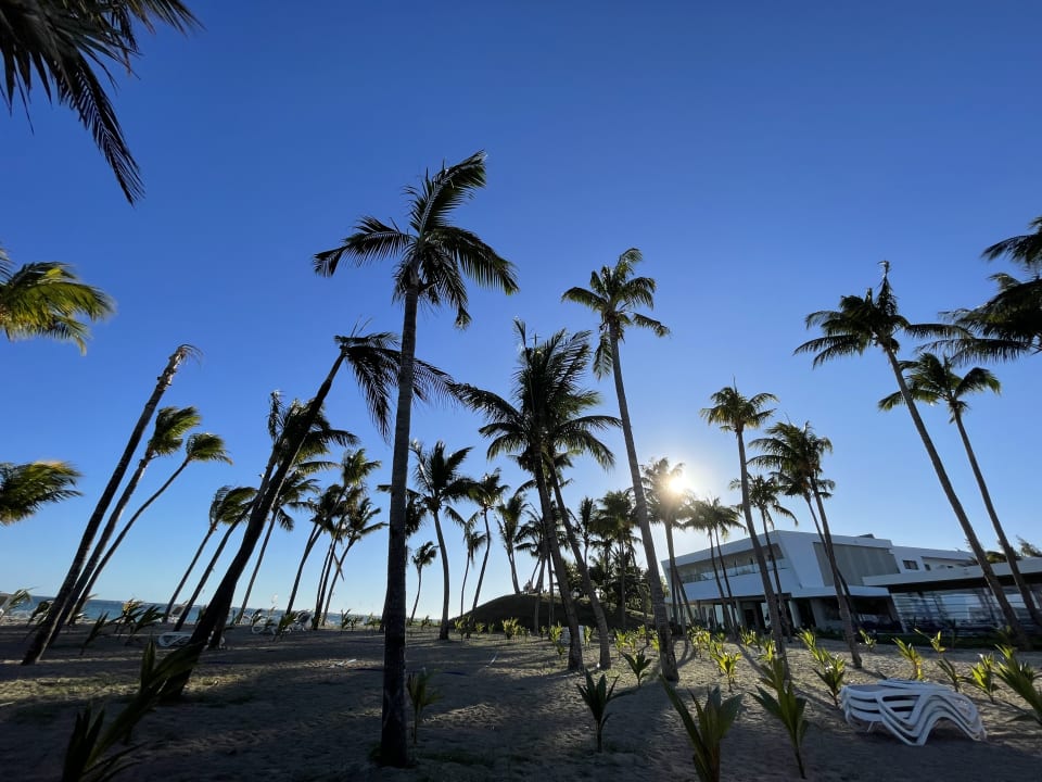 Außenansicht Hotel Riu Turquoise
