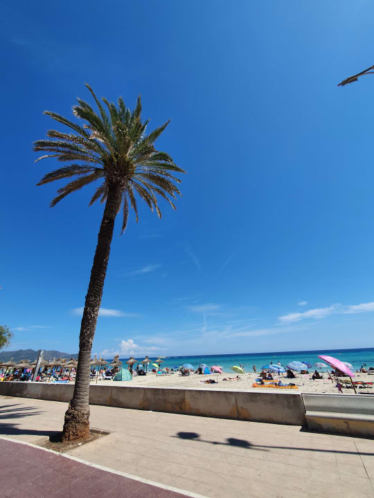 Strand CM Playa del Moro