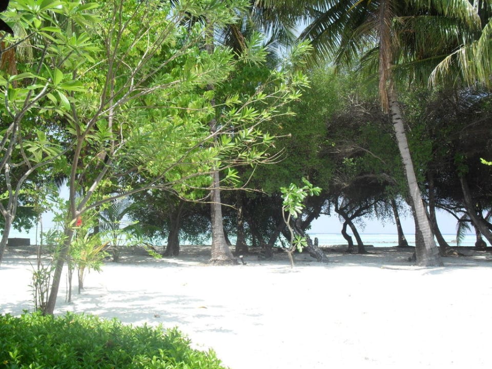 Ausblick von den Bungalows Adaaran Select Hudhuran Fushi - Premium All Inclusive