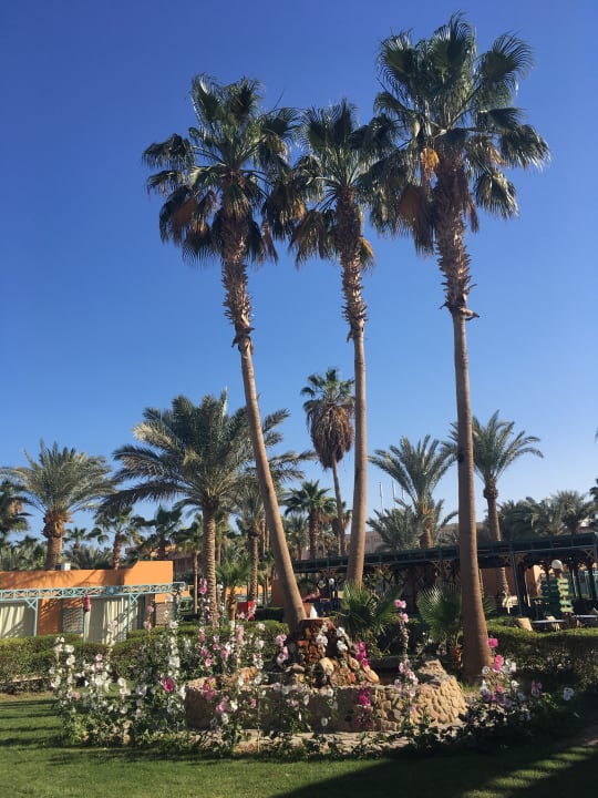 Gartenanlage Giftun Azur Resort