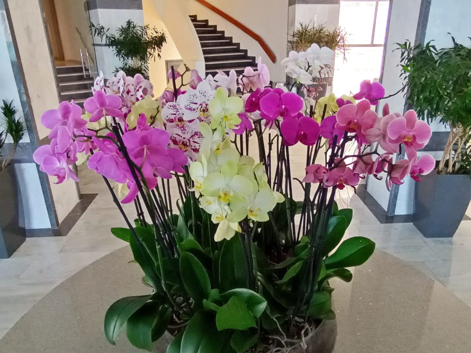 Sonstiges Rhodos Horizon Resort