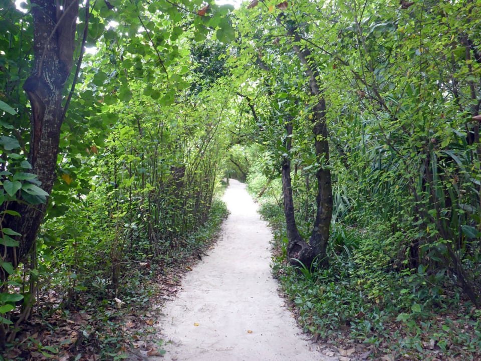 Schmale Sandwege  im Innern der Insel NH Collection Maldives Reethi Resort