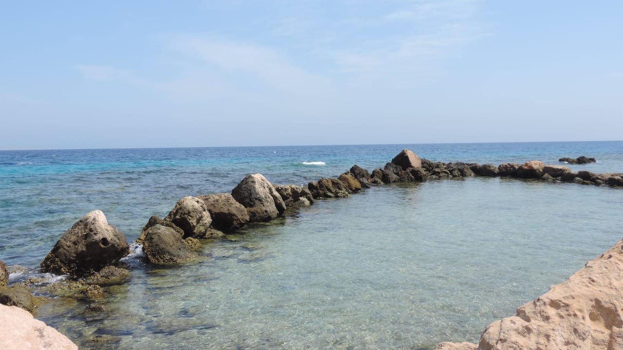 Einfach traumhaft Pickalbatros Citadel Resort