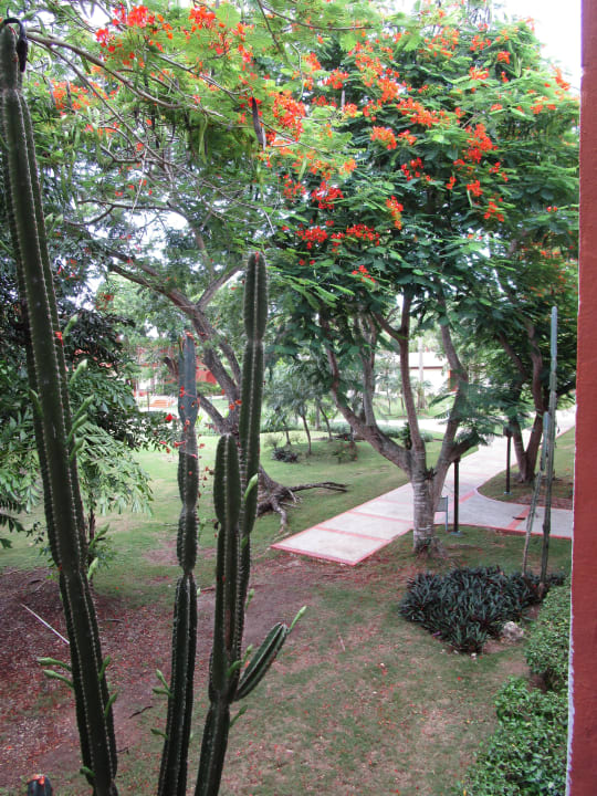 Ausblick vom Balkon BelleVue Dominican Bay