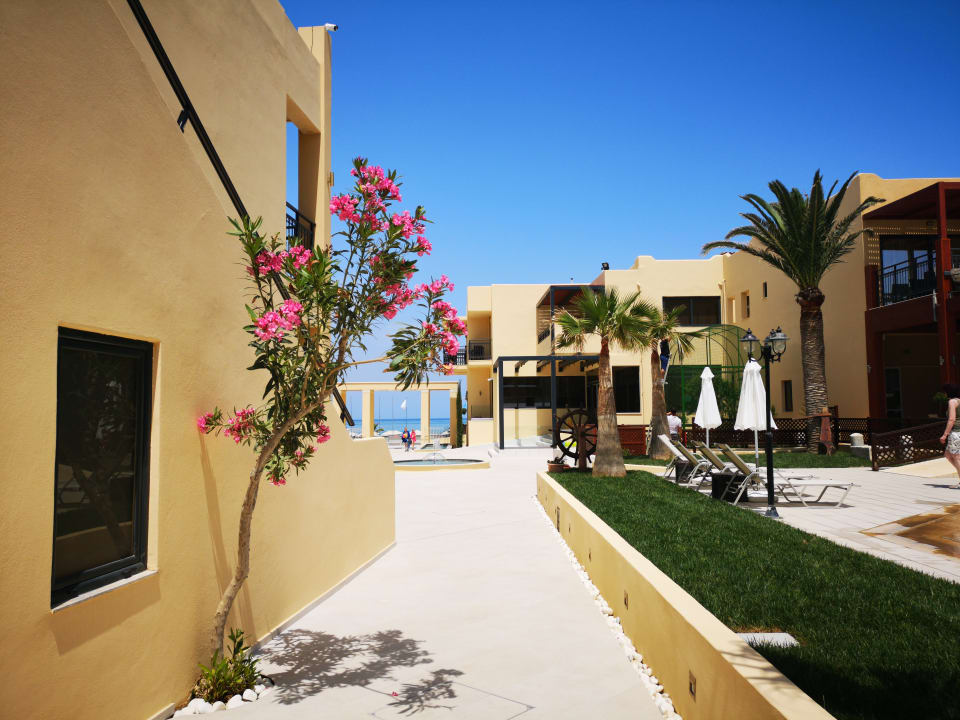 Am Pool Hotel Atlantis Beach