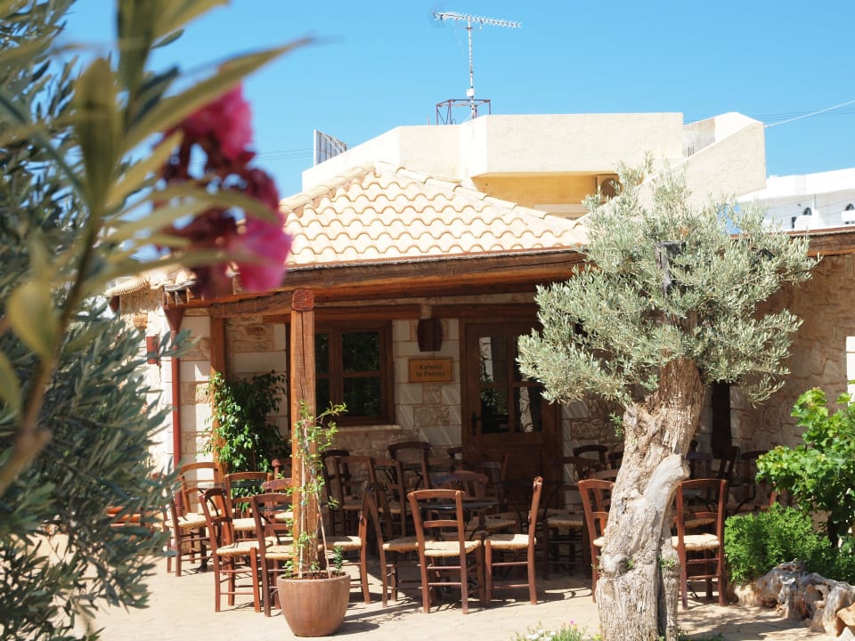 Caferaum Cactus Royal