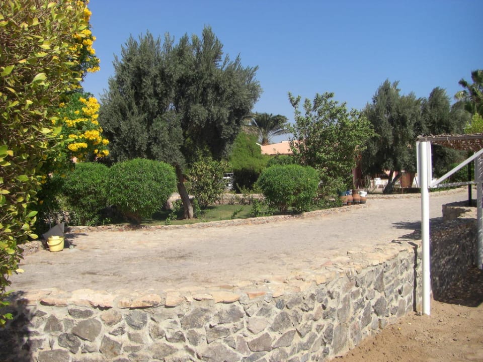 Weg zum Strand Eagles Paradise Abu Soma