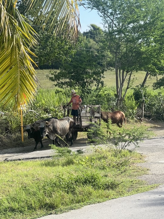 Sonstiges Sol Rio De Luna y Mares