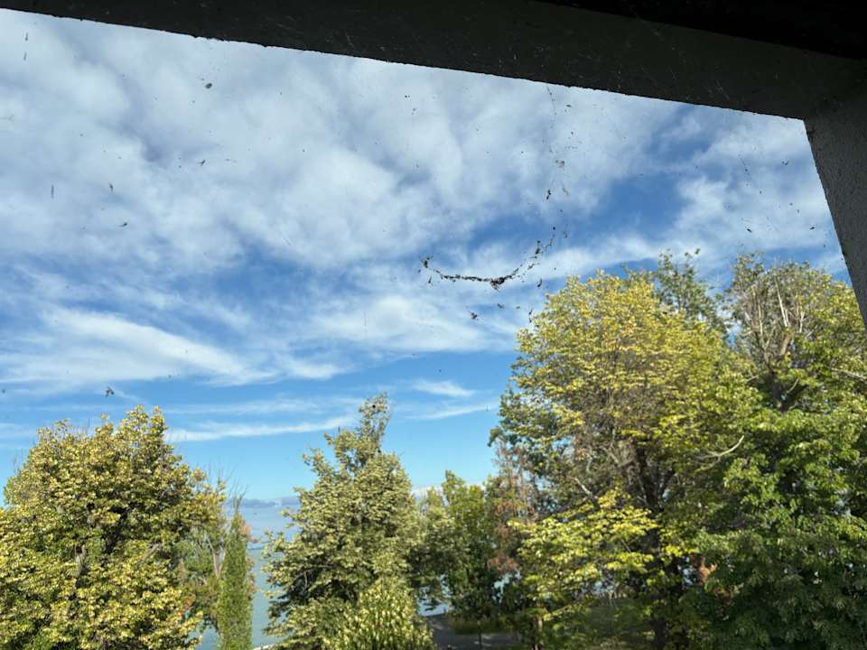 Sonstiges Oliver Lux