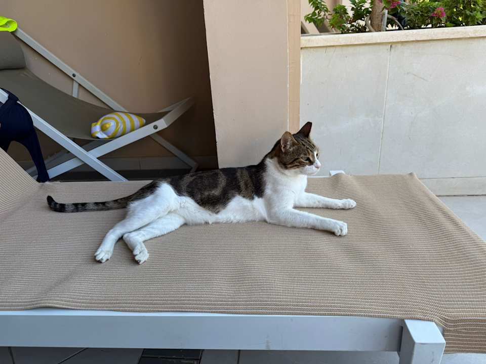 Zimmer The Grand Palace - Adults only