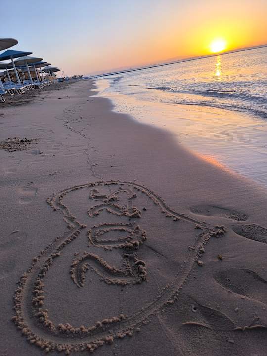 Strand Pickalbatros Palace Resort