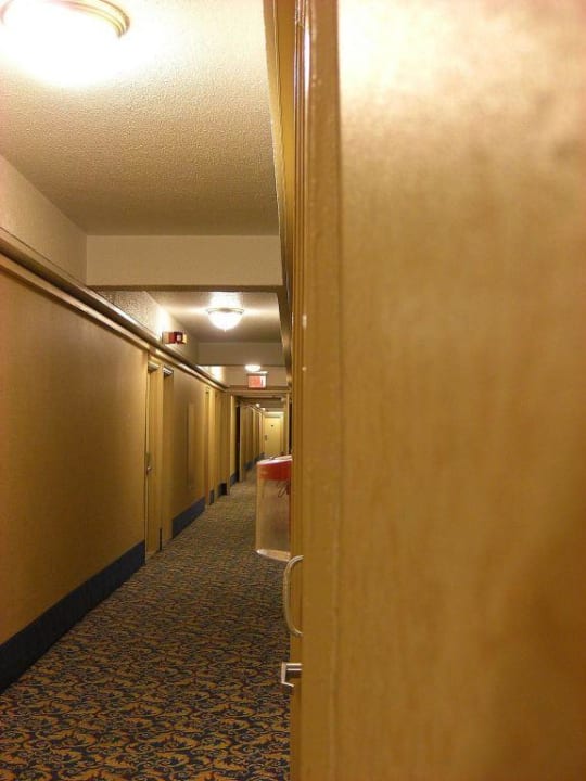 Flur The Row Hotel NYC