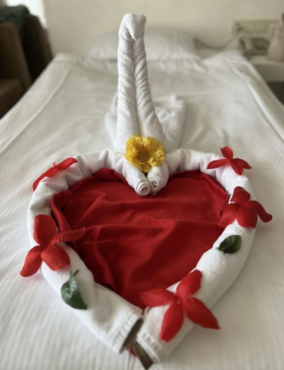 Zimmer Seaden Sea World Resort & Spa