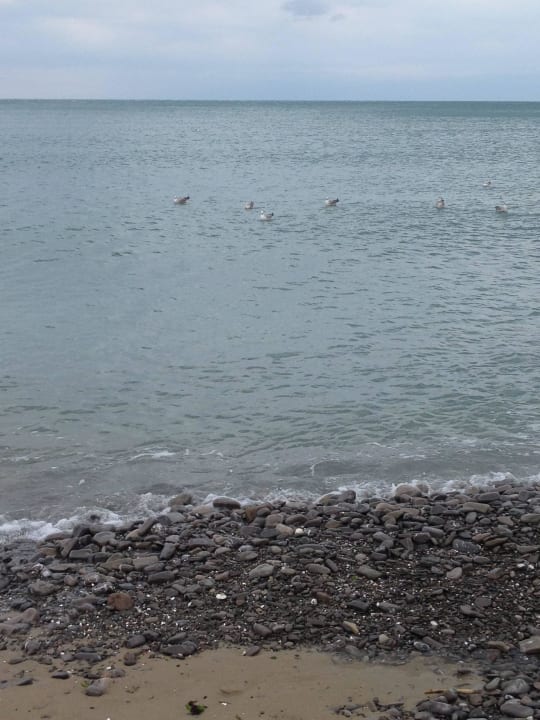 Strand Hotel Atrium Beach