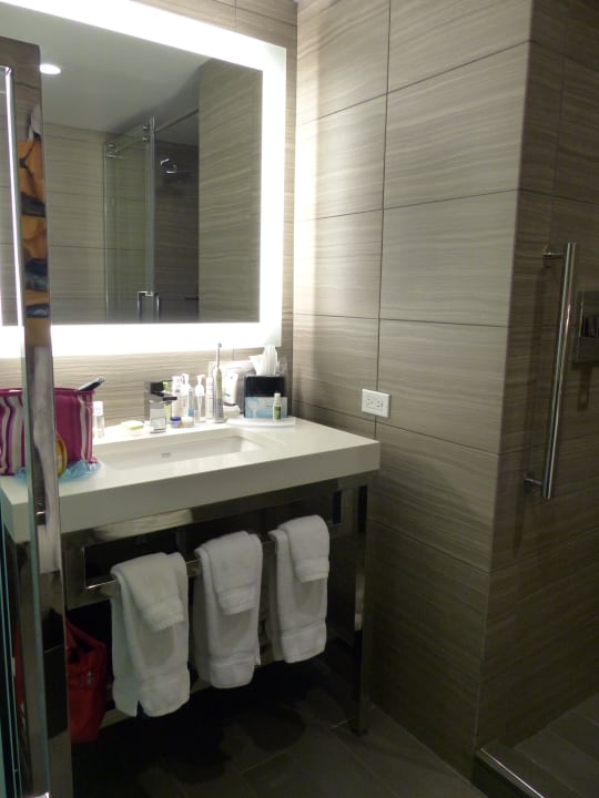 Zimmer Hilton Garden Inn New York Times Square North