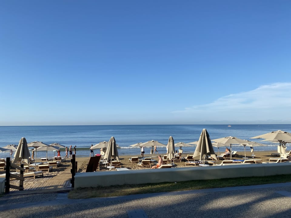 Strand Acanthus Cennet Barut Collection