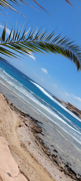 Strand Steigenberger Coraya Beach - Adults only