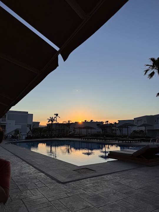 Pool Delfina Tropic Beach