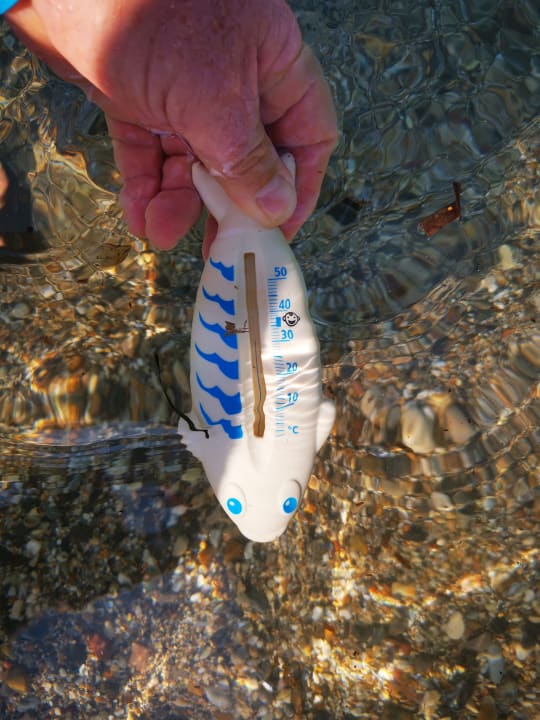 Sonstiges Hotel Albatros