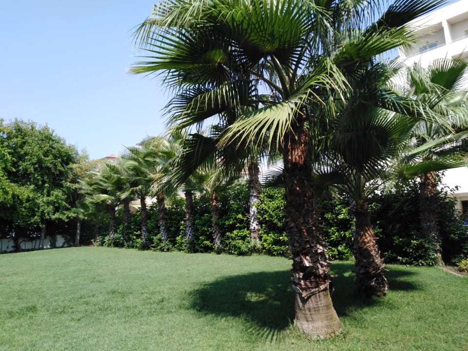 Gartenanlage Side Breeze Hotel