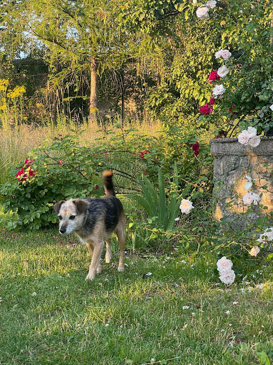 Gartenanlage Pałac i Folwark Galiny