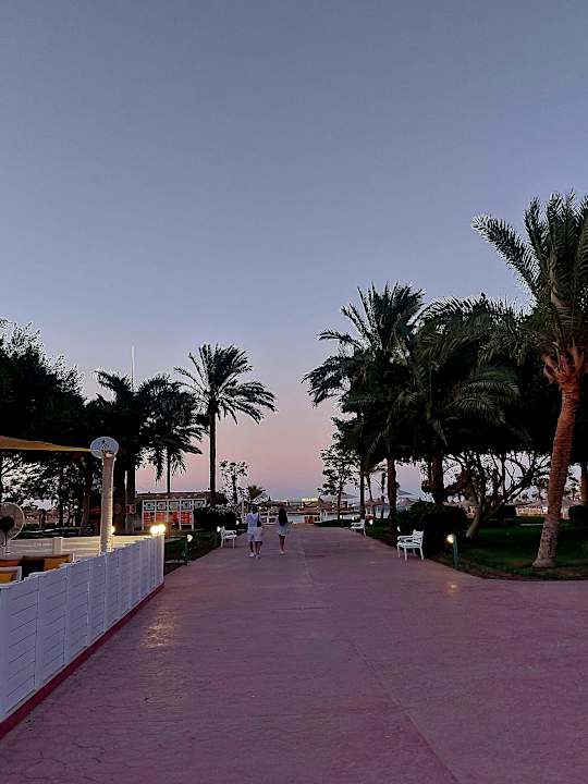 Außenansicht Desert Rose