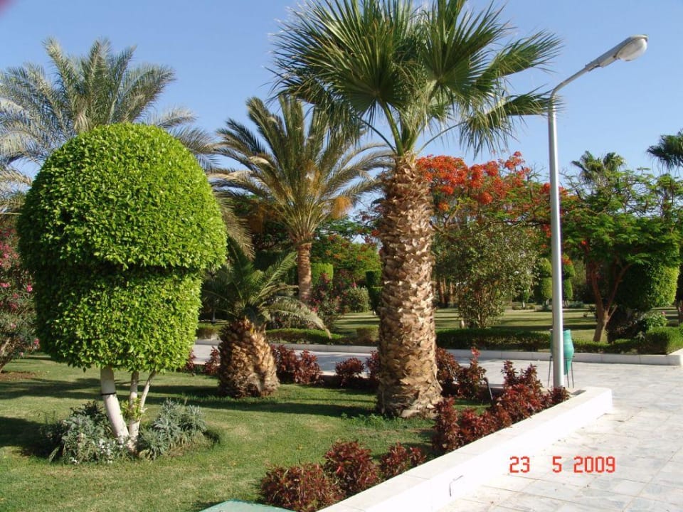 Hotelgarten The Grand Hotel Hurghada