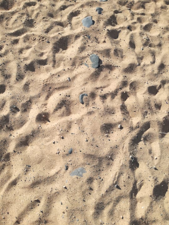 Strand SBH Fuerteventura Playa
