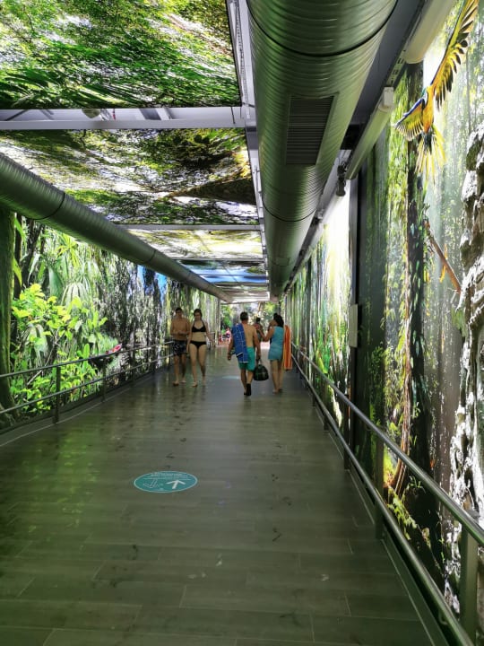 Sport & Freizeit Tropical Islands Resort