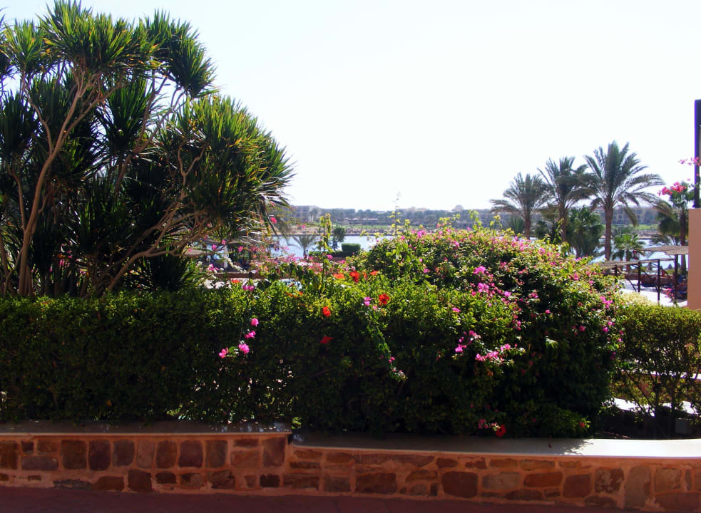 Schöne Gartenanlage Steigenberger Coraya Beach - Adults only