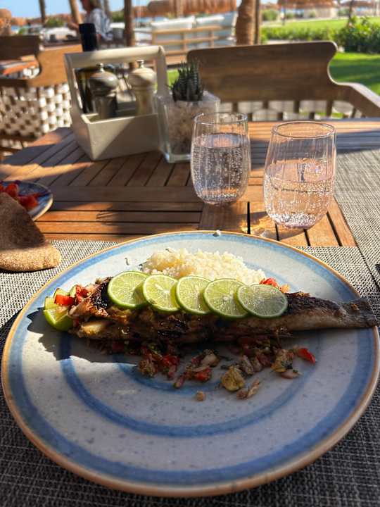 Gastro Steigenberger Resort Ras Soma