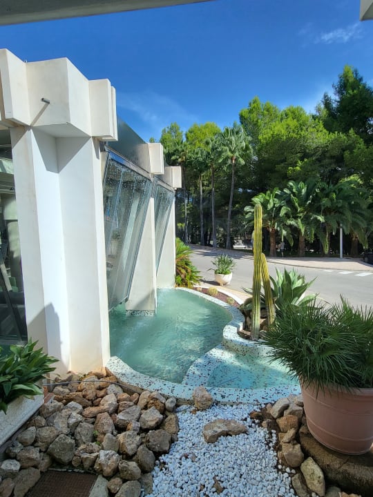 "Gartenanlage" allsun Hotel Bella Paguera (Peguera) • HolidayCheck