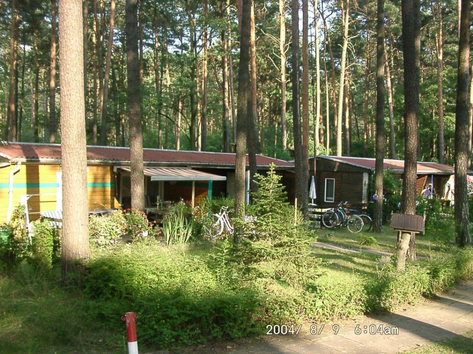 Bungalowsiedlung am Nachmittag Helenesee Bungalowvermietung Wannicke