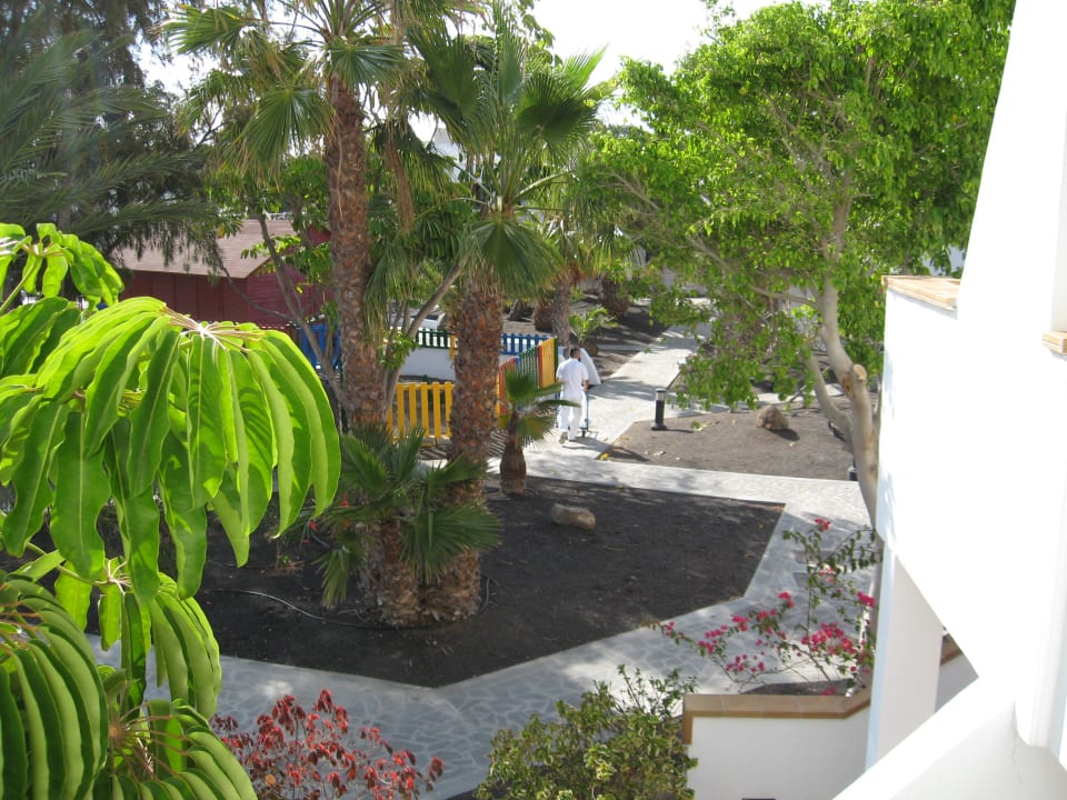 Sehr gepflegte Anlage allsun App.-Hotel Albatros