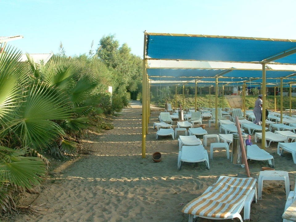 Strandliegen Hotel Orfeus Park