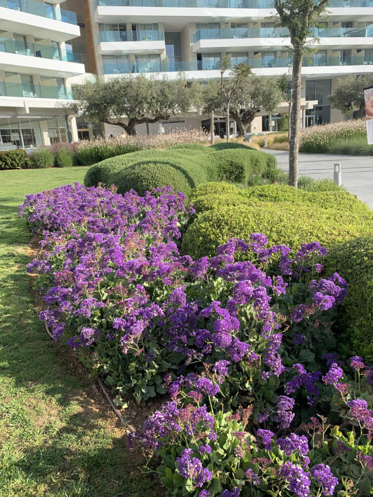 Ausblick Hipotels Gran Playa De Palma