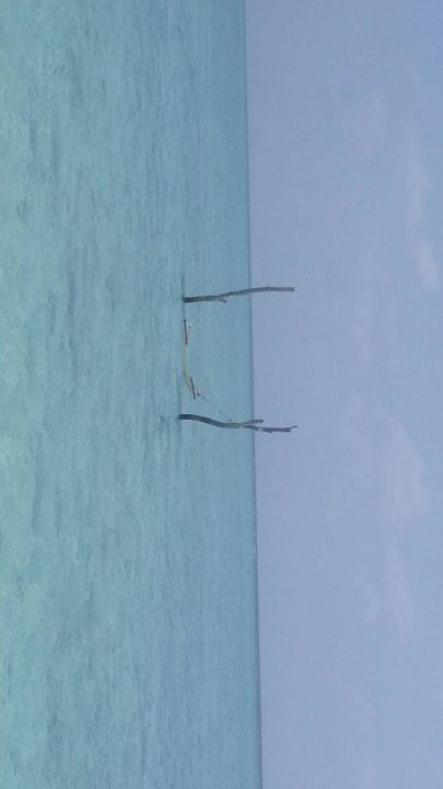 Hängematte im Meer Summer Island Maldives