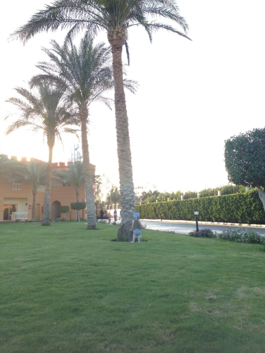 Garten  Pickalbatros Aqua Blu Resort - Sharm El Sheikh