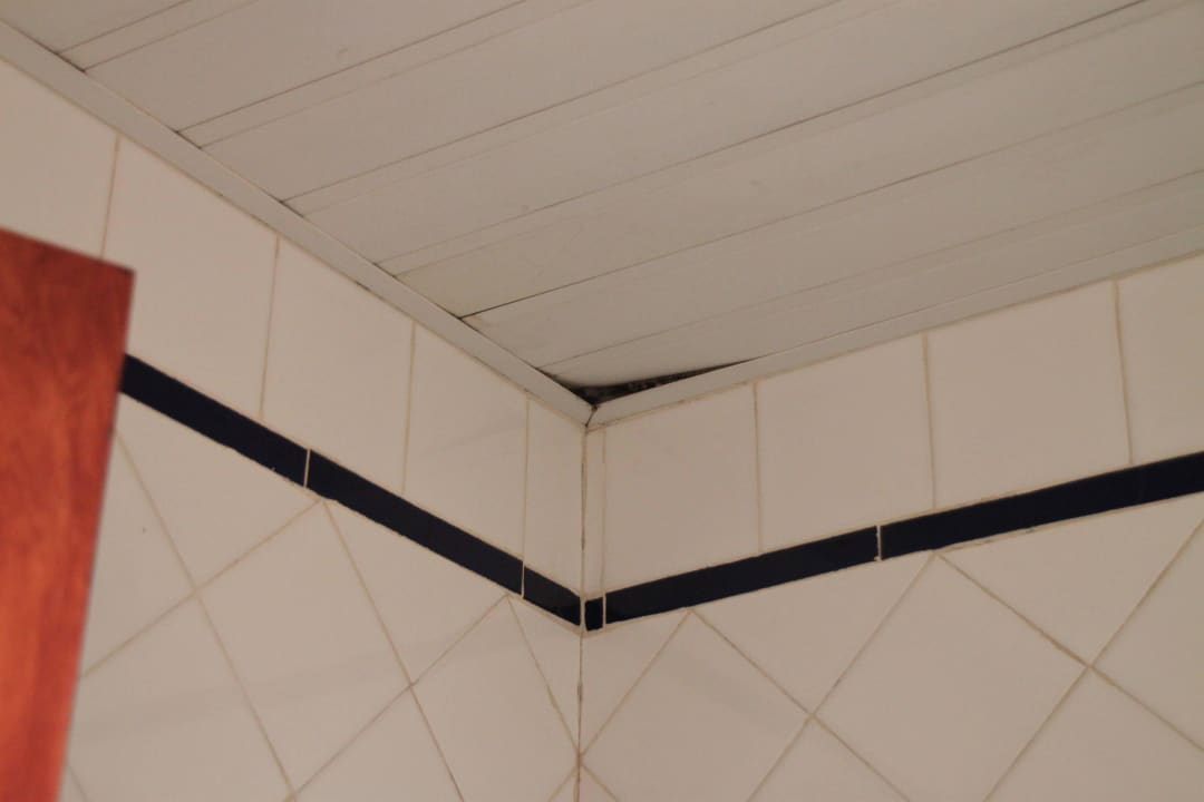 Deckenverkleidung Bad Memories Miramar Havana