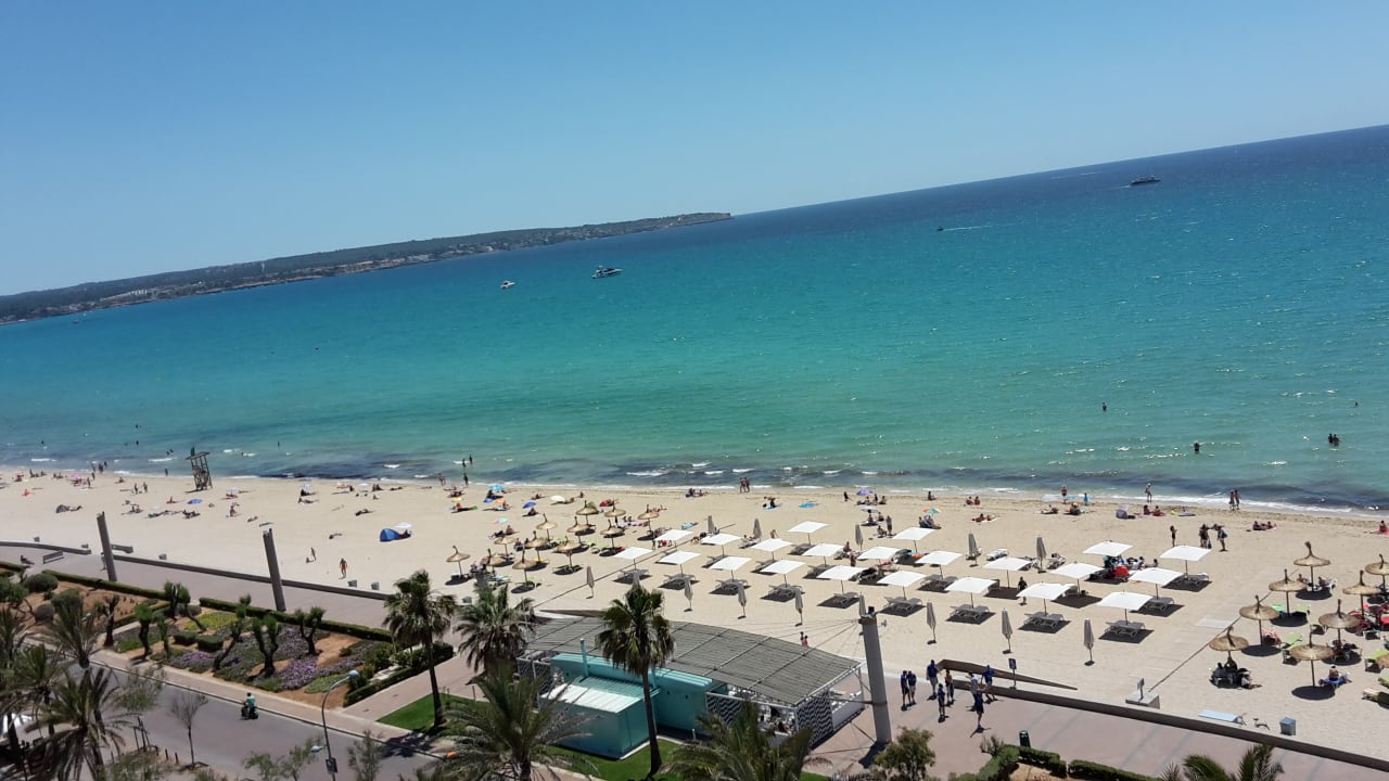 Ausblick HM Tropical