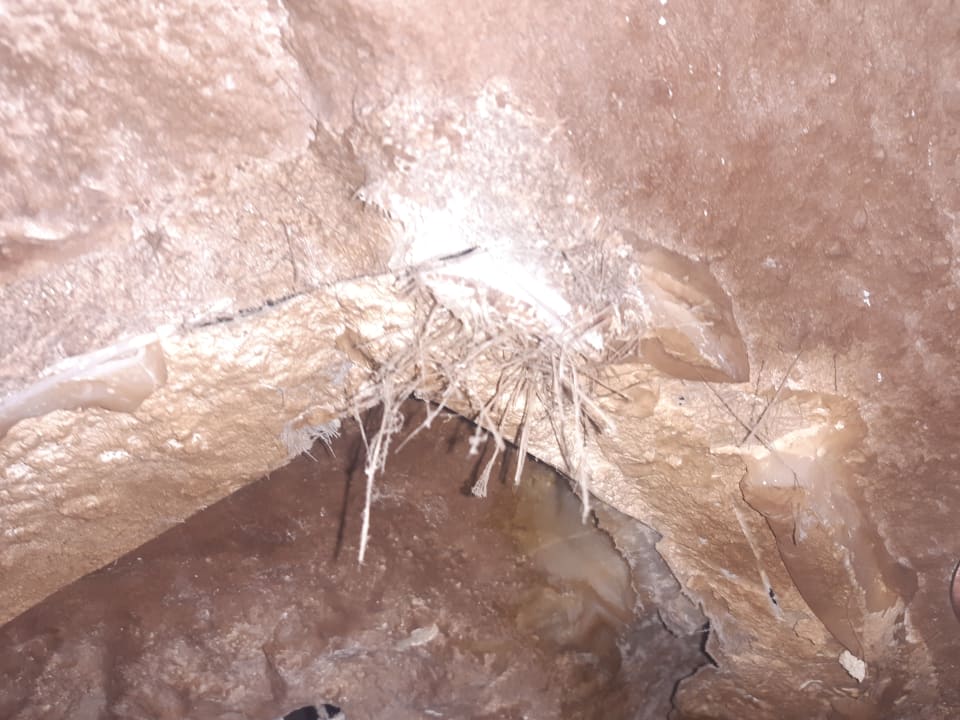 Zimmer Hotel Caves Beach Resort (Adults Only)