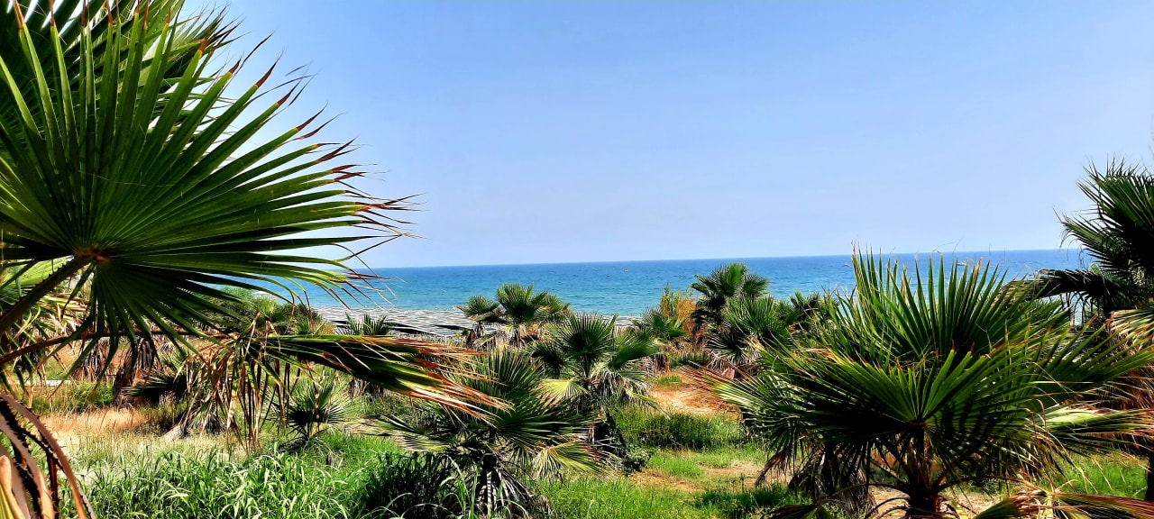 Ausblick Alba Resort Hotel