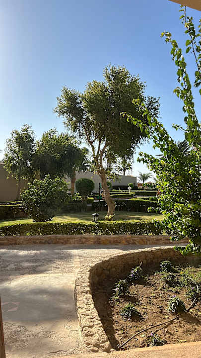 Gartenanlage Eagles Paradise Abu Soma