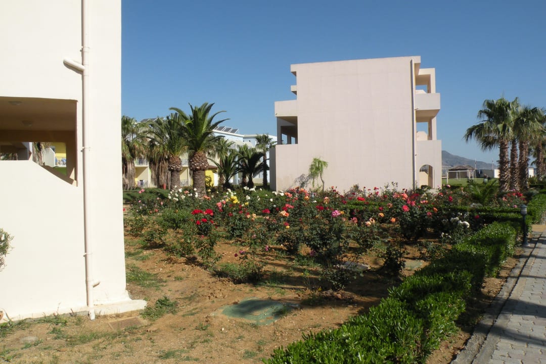 Gartenanlage Delfina Tropic Beach