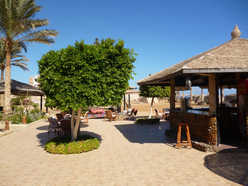 Die Beachbar - Tauchertreffpunkt Hotel Coral Garden