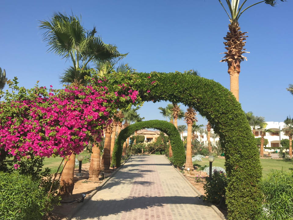 Gartenanlage Happy Life Village
