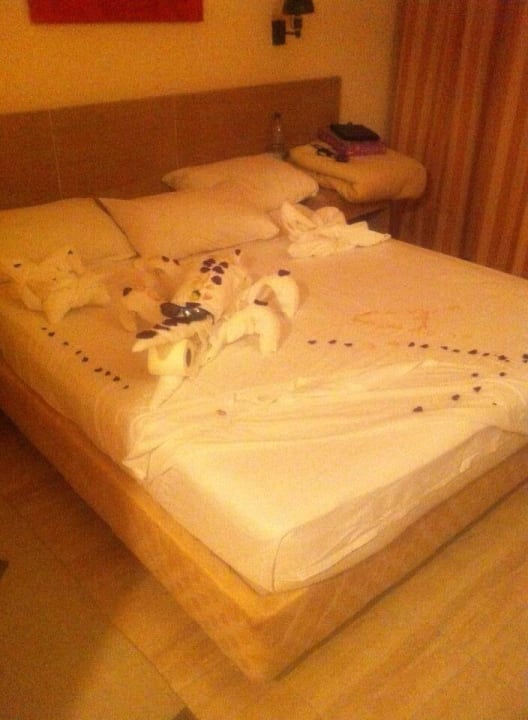 Die Jungs haben was drauf Sindbad Club